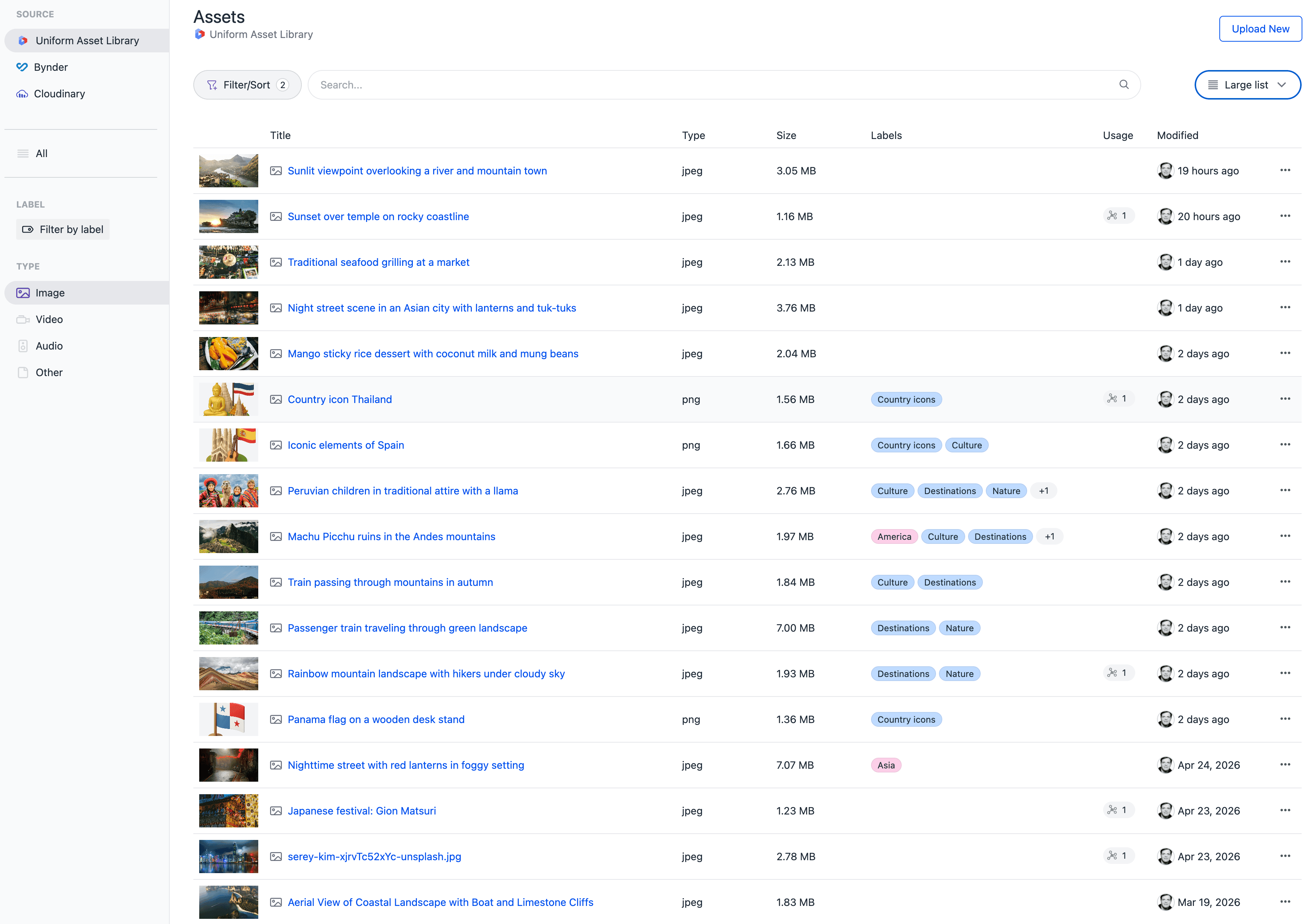 The asset library in large list view, showing a larger thumbnail next to each asset's metadata.
