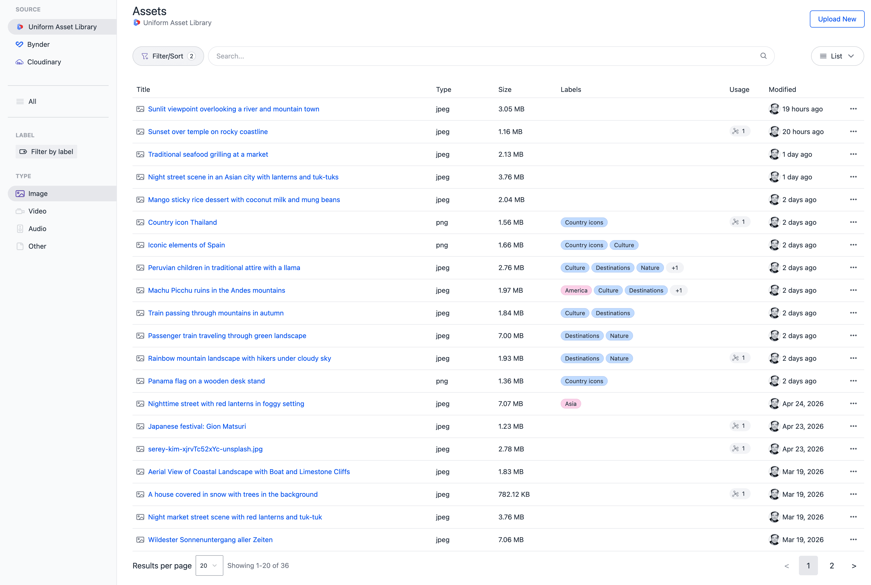 The asset library in list view.
