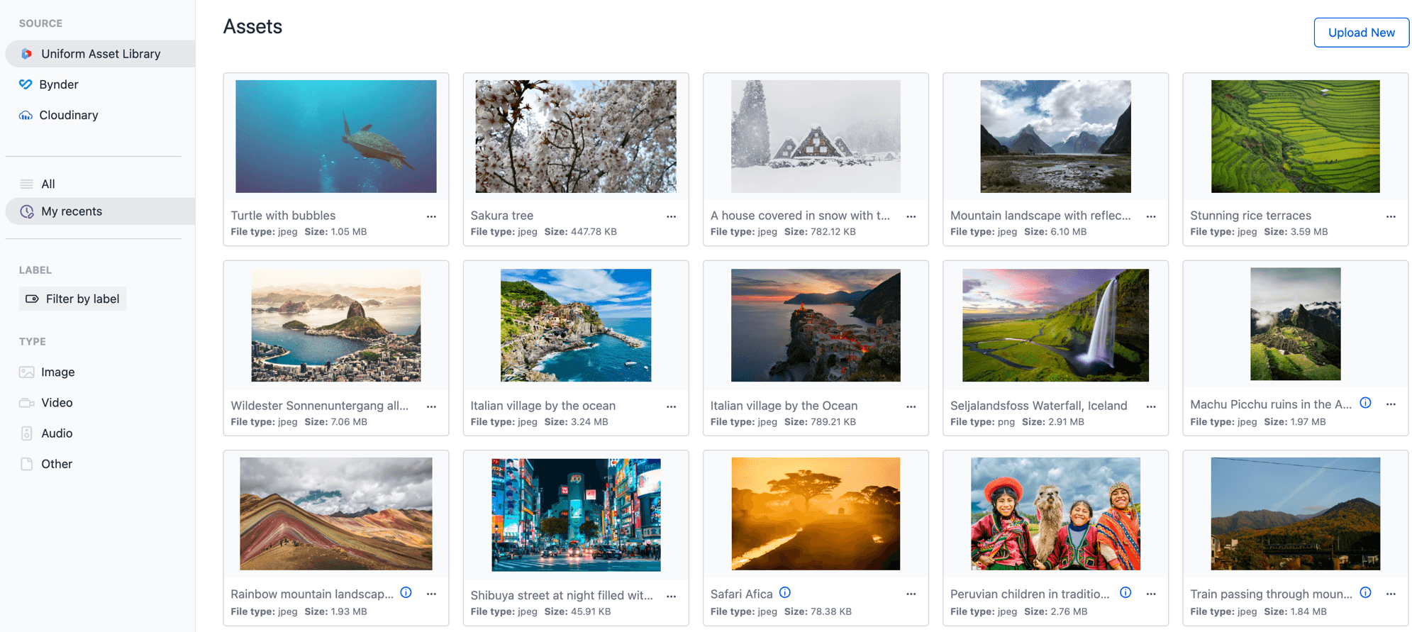 The asset library sidebar with the My recents view selected, displaying a grid of recently used assets.
