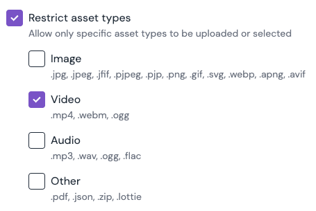 Example: Restrict an asset parameter to video files