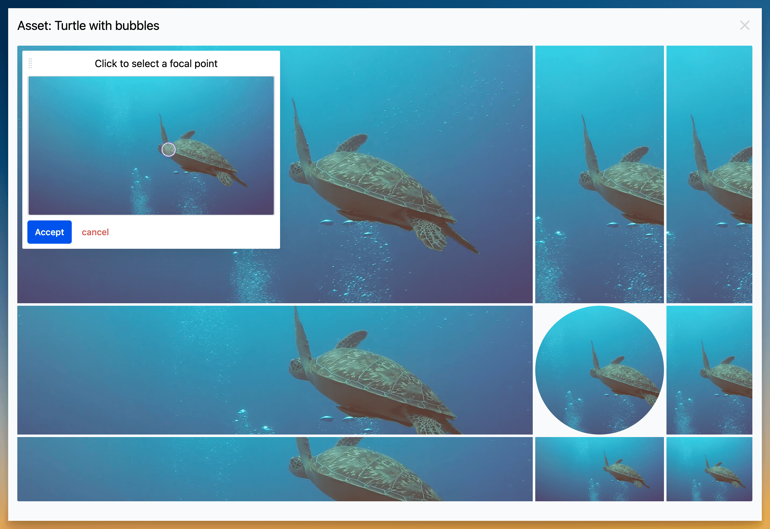 Focal point preview Focal point preview